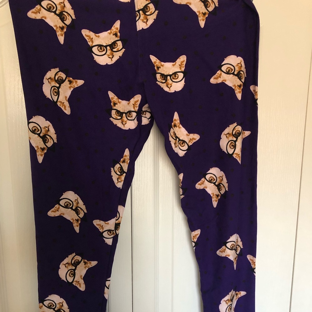 🦄🦄🦄Unicorn! Hipster cats!